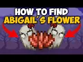 Terraria How To Get Abigail s Flower Terraria Abigail s Flower 1 4 5