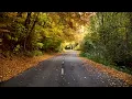 ІВО БОБУЛ - ОСІННІЙ САД (KOLABA Remix)