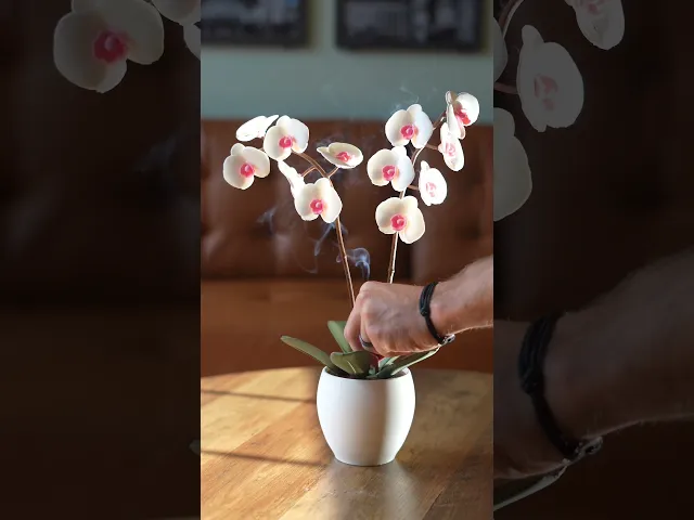 Aromatic Orchid - Oil Diffusor and Incense Holder - with Spinning Leaves video thumbnail