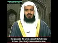 Download Lagu Surah Noor, Old Video Of Shaikh Rashid Mishary Al Afasy