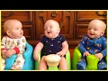 Download Lagu Funny Twin And Triplet Will Make You Laugh || 5-Minute Fails