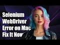 Selenium gives selenium common exceptions WebDriverException Message unknown error cannot fi