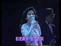 風雨同路 - 徐小鳳