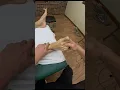 Toe click-Raynor Massage