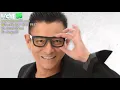 Download Lagu 刘德华 Andy Lau - 没有你没有我 Mei You Ni Mei You Wo(Lirik dan terjemahan)