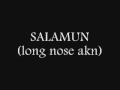 Download Lagu maranao song  SALAMUN long nose akun  by DESERT