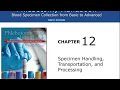 Phlebotomy Handbook Chapter 12