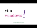 vim - windows