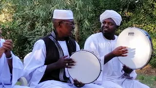 شيخ نورين والشليبي ابلي المشرفات 