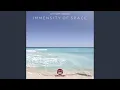 Download Lagu Immensity of Space (Original Mix)