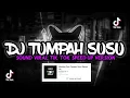 Download Lagu Dj Viral Tumpah Susu Speed up Tiktok 2023