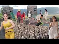 Download Lagu close up of ducks running winding down the car like a wave crashing on the edge of a rice field