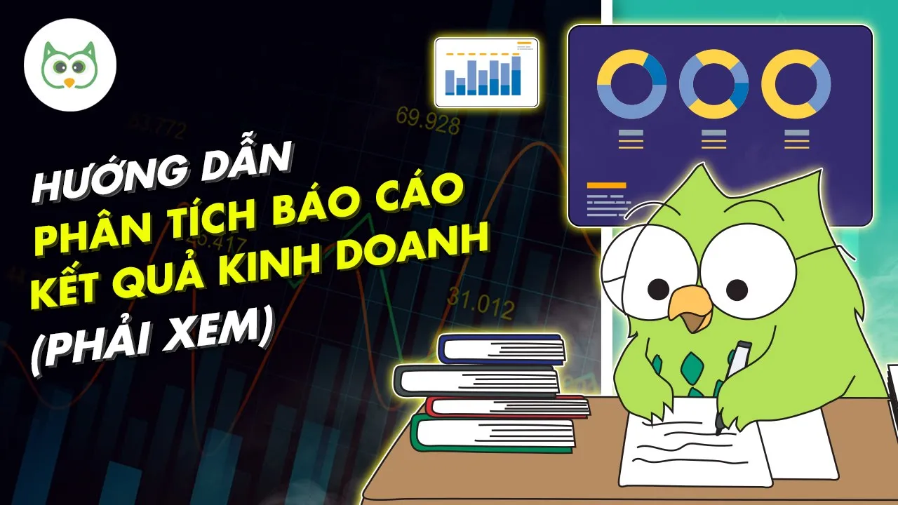 Hướng Dẫn Phân Tích Báo Cáo Kết Quả Kinh Doanh (Phải Xem) | Trong 1 Trang