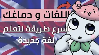 أسرع طريقة لتعلم لغة جديدة تعلم اللغة الإنجليزية و الفرنسية اللغات و دماغك 