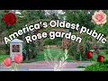 Elizabeth Park - Hartford Connecticut 4K Sunset Drone Cinematic June Aerial Footage