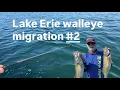 Lake Erie Walleye Migration Patterns Explained Seasonal Movements Behavior