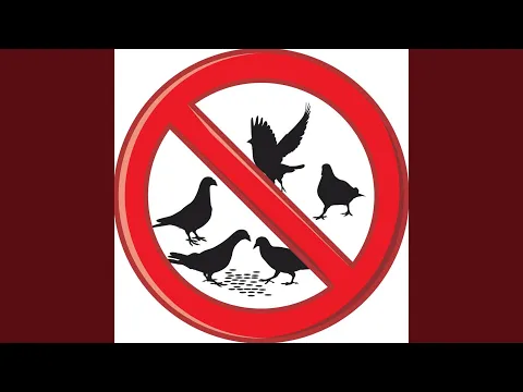 Download MP3 Audible Bird Scarer: Kendalikan Burung yang Tidak Diinginkan Seperti Merpati, Jalak, Merpati, Gagak, Benteng,...