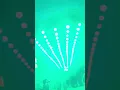 Download Lagu Xtremoluz discomovil El Salvador fiestas