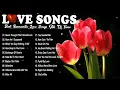 Lagu Love Song 2024 🌹 All Time Greatest Love Songs Romantic Westlife, Shayne Ward, Backstreet Boys