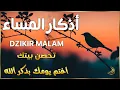 Download Lagu اذكار المساء | راحة وسكينة لقلبك - تحصن بيتك وأهلك من الشيطان | Evening azkar By Alaa Aqel