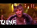 Download Lagu Memory (Jennifer Hudson) | Cats (2019) | TUNE