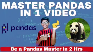 pandas tutorial python pandas tutorial pandas tutorial for beginners python pandas python