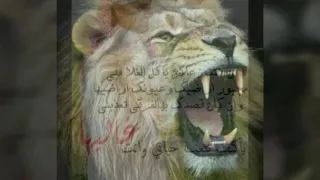 الله يا دنيا الندم دندنها