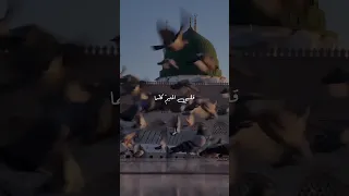 بك ملهمي  قلبي المتيم كلما    ماهر زين  تصميمي  اكسبلور  بدون موسيقى دندنها