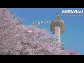 [THAISUB/KARAOKE] Busker Busker - 벚꽃 엔딩 (Cherry Blossom Ending) [가사]