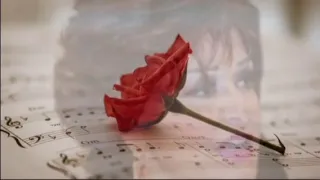 وردة الجزائرية كل غنوة عالفرح كانت عالجرح كانت العيون السود 