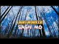 Download Lagu Light Worker - Sash