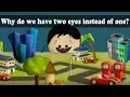 Download Lagu Why do we have two eyes instead of one? | #aumsum #kids #science #education #children