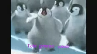 علي البغدادي   جاك جيك جكجكه دندنها