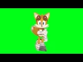 Tails run animated front chroma