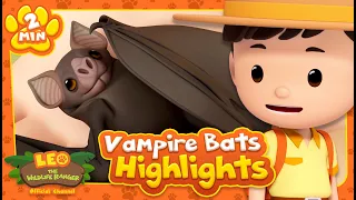 VAMPIRE BAT HIGHLIGHTS! | Leo the Wildlife Ranger | Learning Animal Cartoons