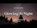 Download Lagu Jo Cohen \u0026 BQ - Glowing At Night [NCS Release] (Lyrics)