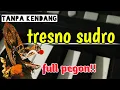 Download Lagu Tresno sudro - cover tanpa kendang | full pegon jaranan