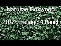 Lowes Naturae Boxwood 20x20 Foliage panel 4pc Review Saturday Savings