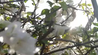 محمد الحسيان   عرفتك ياربي دندنها
