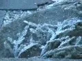 Sheryl Crow - Mother Nature's Son