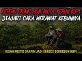 Download Lagu KETEMU ORANG BUNIAN DI KEBUN KOPI, DIAJARI CARA BERKEBUN - cerita mistis