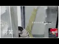 陳勢安 Andrew Tan - 可笑 試聽版