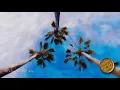 Deeb - Palm Parallels 👇 Relaxed Blend Playlist