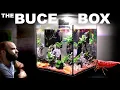 Lagu The Buce Box: ALL IN ONE Shrimp Cube Aquarium