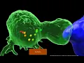 3D Surface Rendering with texture and transparency features - tutorial