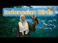 Download Lagu 5 Mind-Blowing Bird Species You Won't Believe Are at Taman Burung TMII