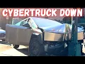 Download Lagu Cybertruck verliest door rood licht 😂 !!!! Slechte chauffeurs en rijfouten - leer autorijden #1430