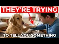 7 Signs Your Dog Is Predicting a Threat Before It Happens
