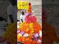 Download Lagu 26 තමයි දවස රුවන්වැලිසෑයේ 😲🤔🙏pictiamal pojava Ruwanweliseya 26😲🤔🙏#ruwanweliseya #travel #buddha