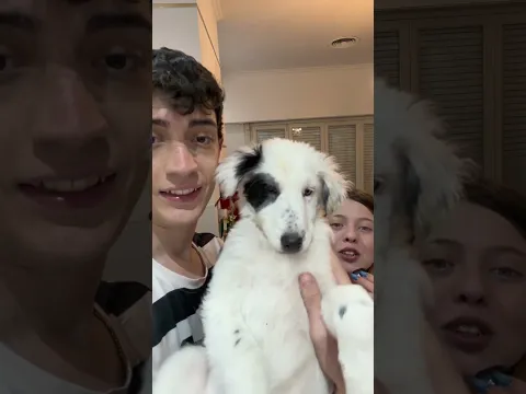 Tuvimos un hijo! 🍼
